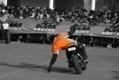IIP Online Student Photography
